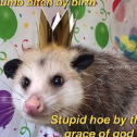 pukey.spewster