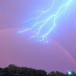 lightningbug