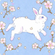 pixiemagic