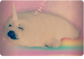 nyan