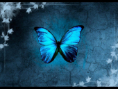 anonymousbutterflyboy