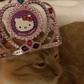 Mokuscat