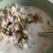 kjemperkatte